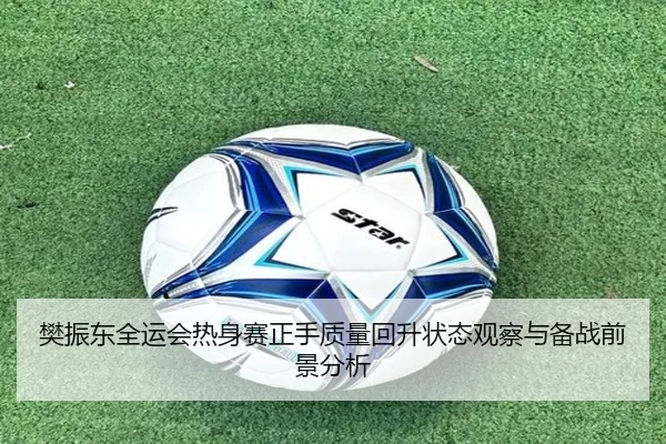 樊振东全运会热身赛正手质量回升状态观察与备战前景分析 - biweisport